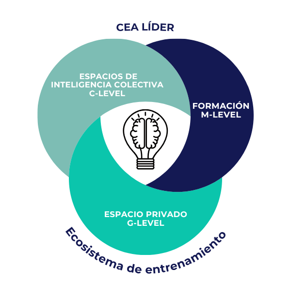 Ecosistema de Entrenamiento CEA Líder - Diagrama mostrando los tres niveles: C-Level (Espacios de Inteligencia Colectiva), M-Level (Formación) y G-Level (Espacio Privado)